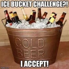 PHOTO...SEE THE ONLY ICE BUCKET CHALLENGE ACCEPTABLE TO NIGERIAN PDP AND APC SENATORS!